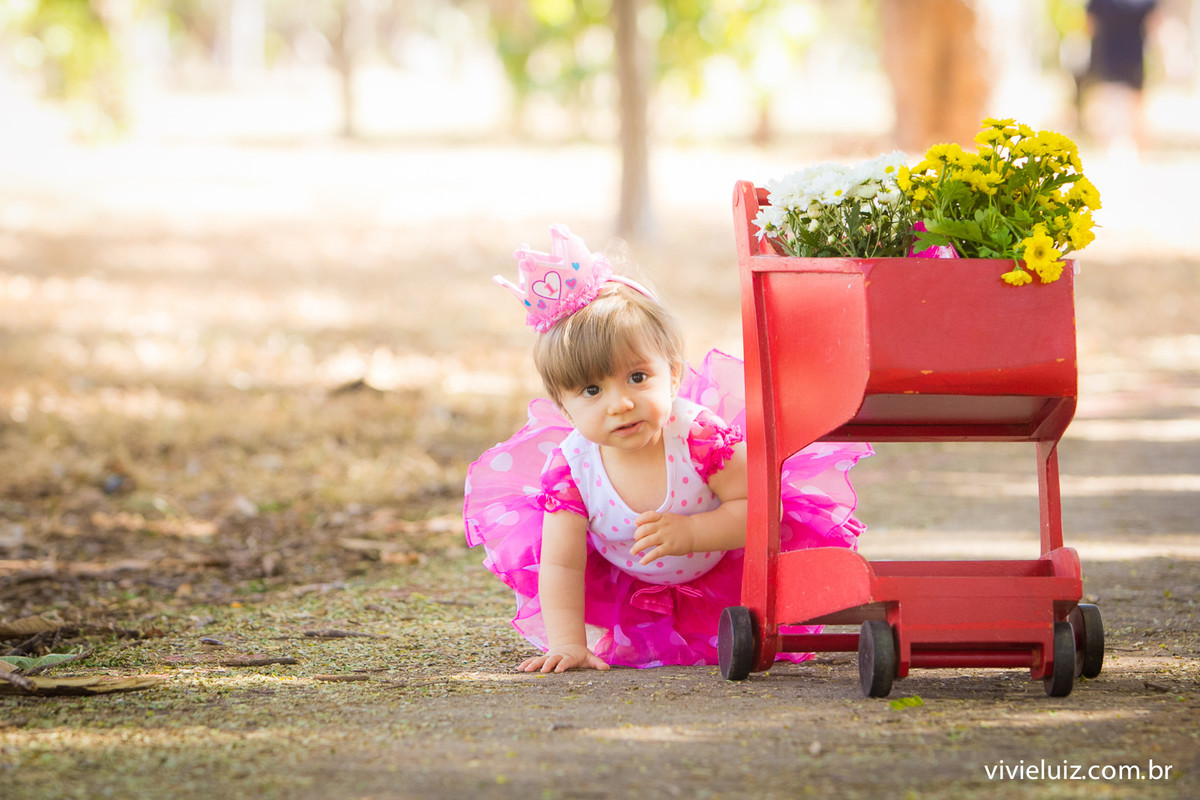 menina com coroa de 1 ano