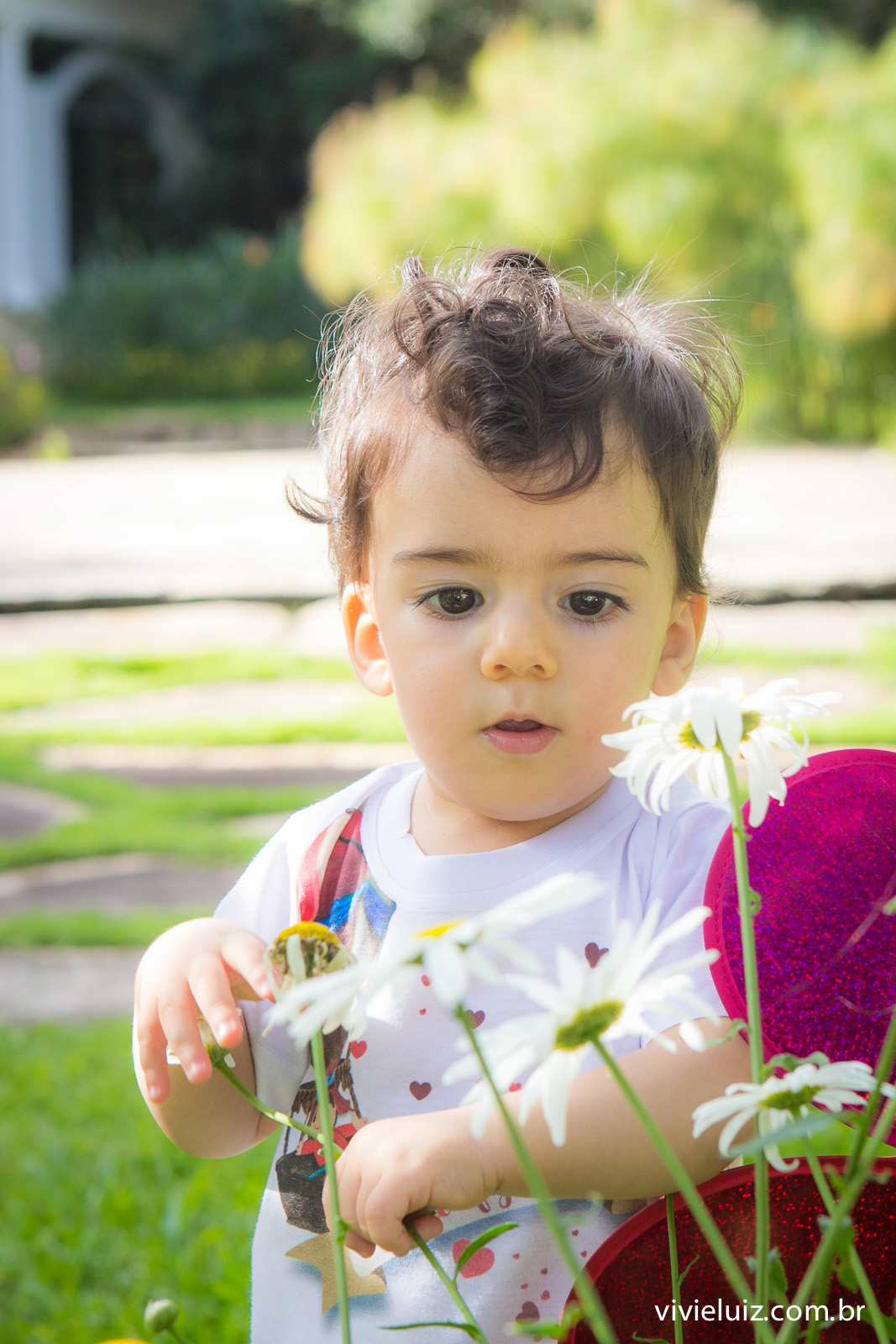 sessao de fotos de familia com fotografias de vivi e luiz fotografias em brasilia