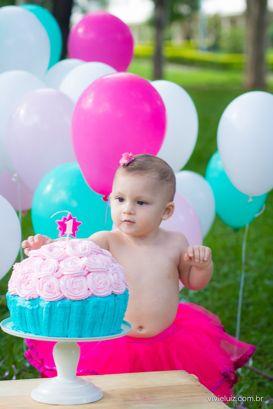 smah the cake com fotos de vivi e luiz fotografias em Brasília