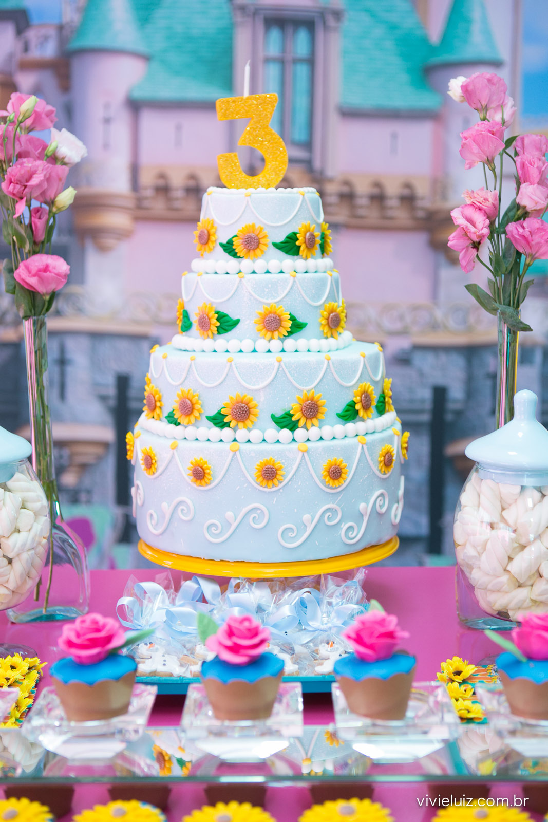 decoracao de festa infantil em brasilia com fotos da vivi e luiz fotografias frouzen
