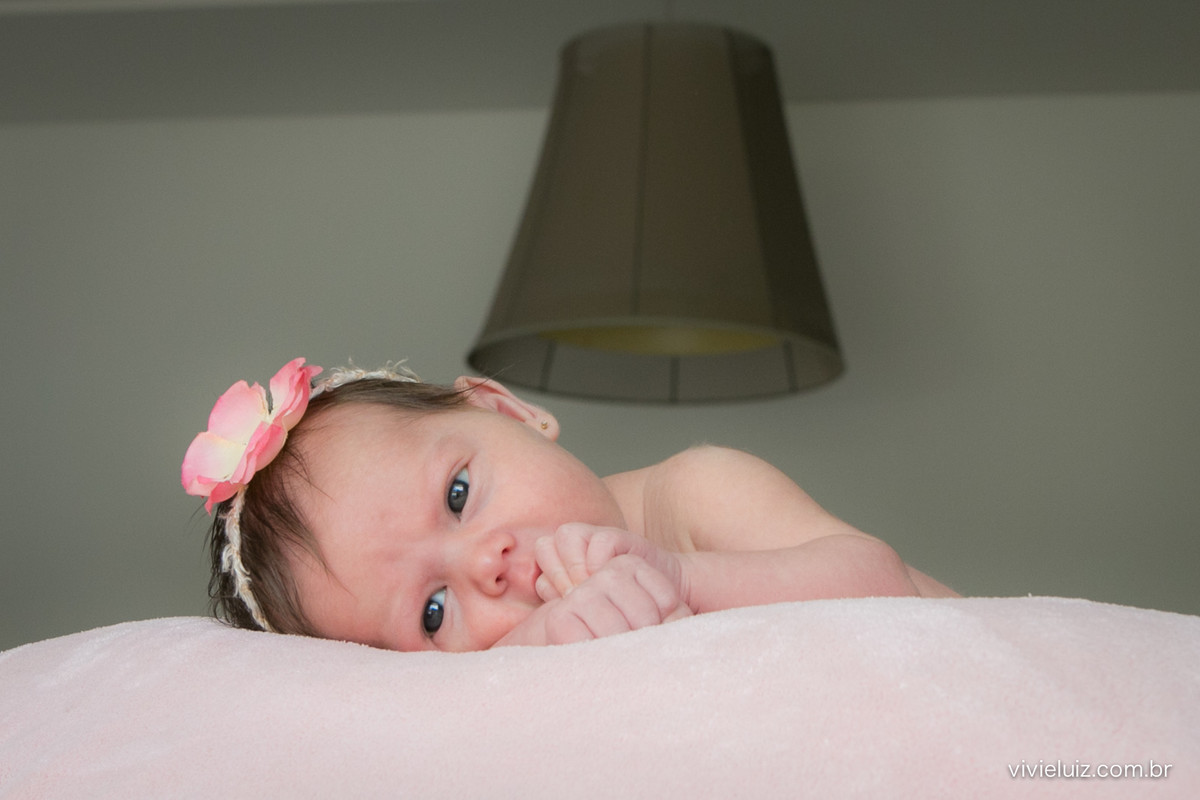 fotos de newborn em brasilia