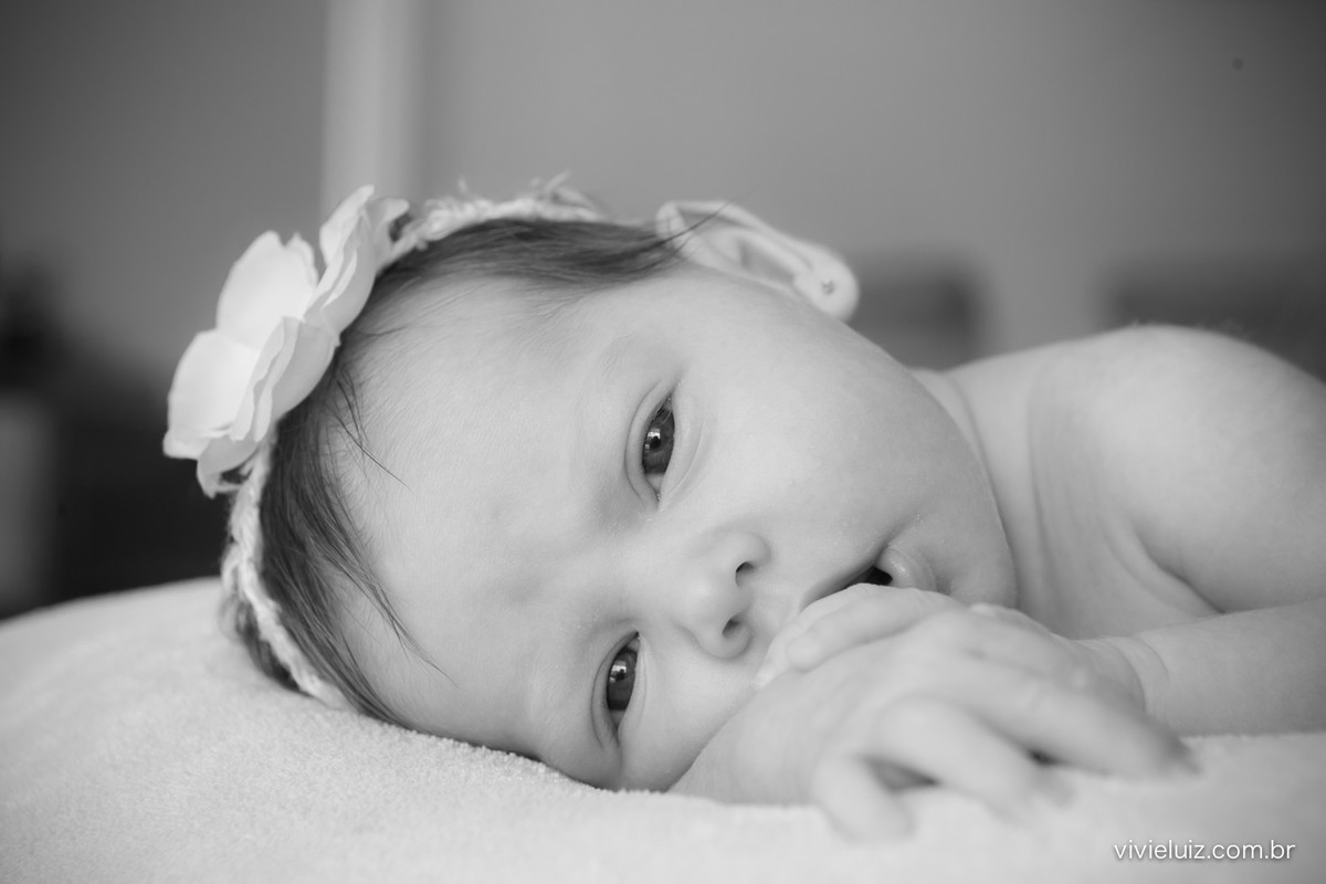 fotos de newborn em brasilia