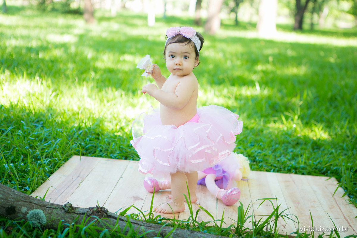 Ensaio fotografico de 1 ano e familia por vivi e luiz fotografias em brasilia
