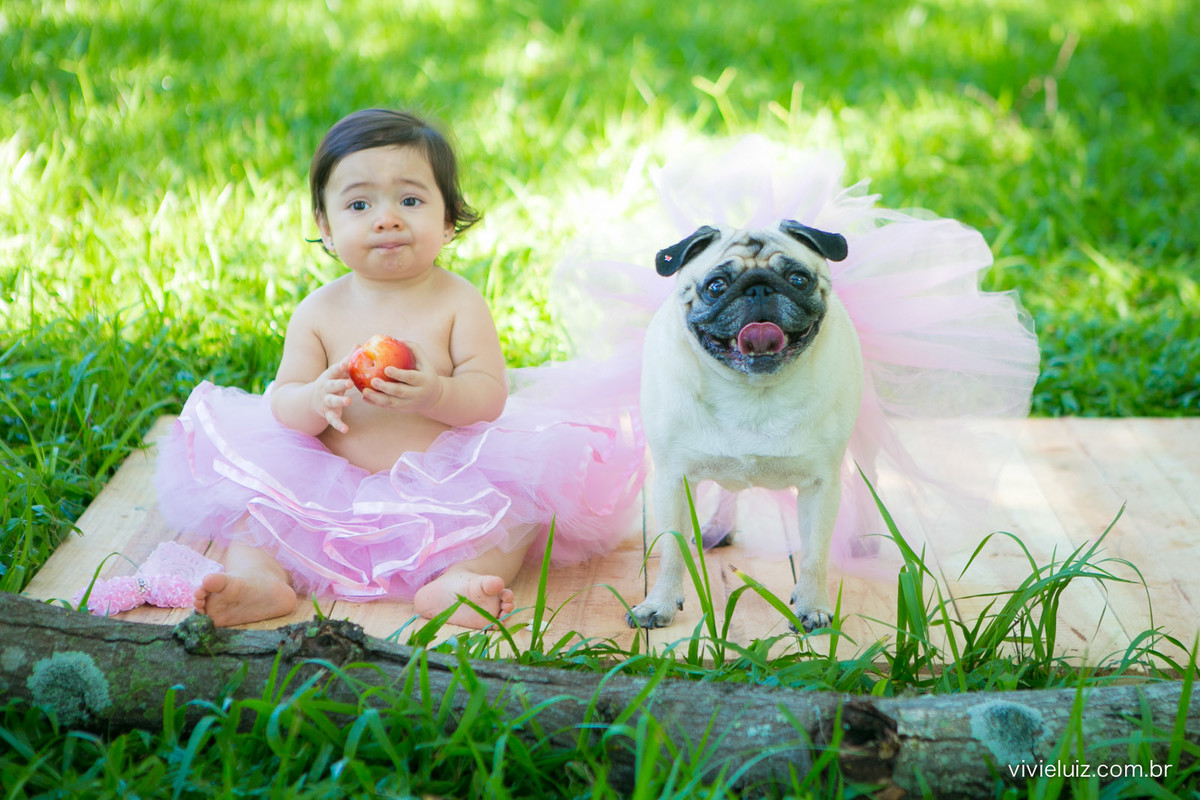 Ensaio fotografico de 1 ano e familia por vivi e luiz fotografias em brasilia