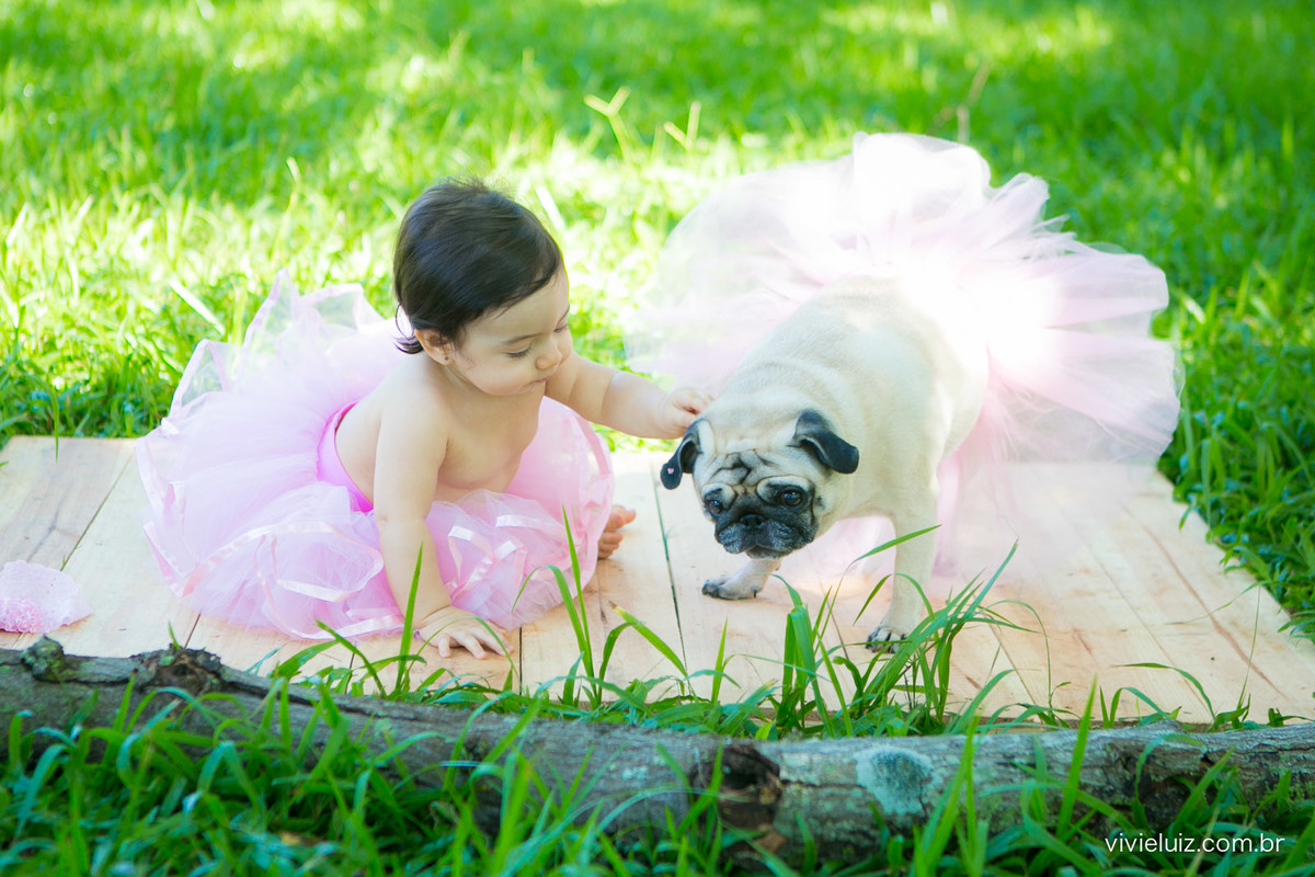 Ensaio fotografico de 1 ano e familia por vivi e luiz fotografias em brasilia