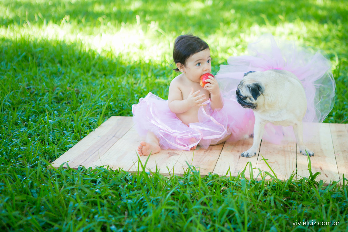 Ensaio fotografico de 1 ano e familia por vivi e luiz fotografias em brasilia
