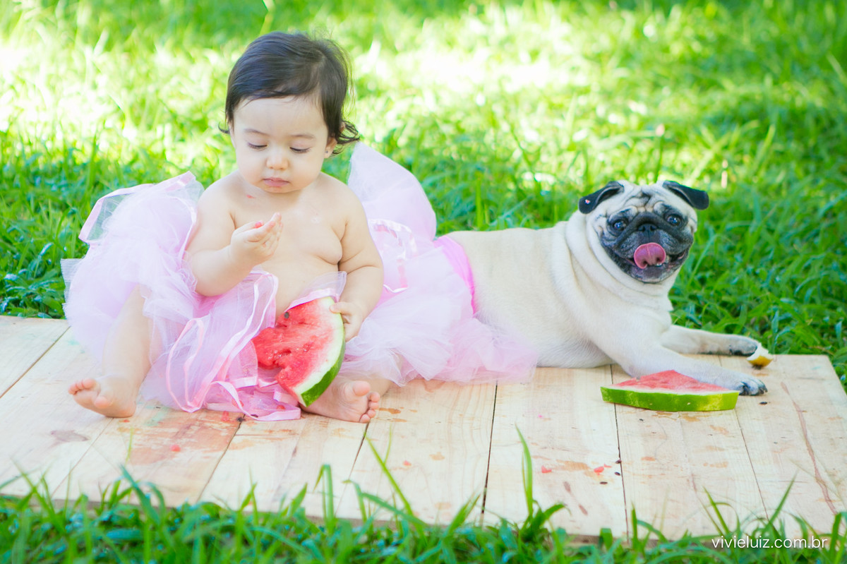 Ensaio fotografico de 1 ano e familia por vivi e luiz fotografias em brasilia