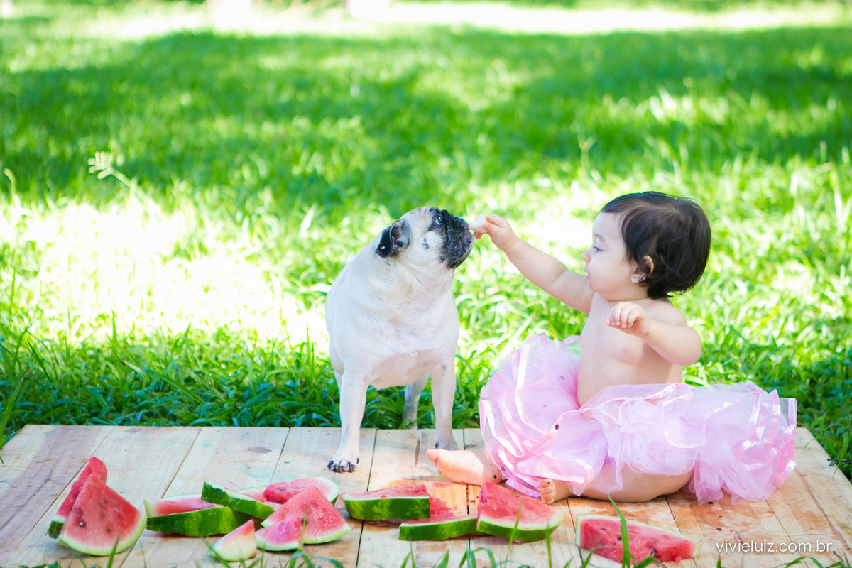 Ensaio fotografico de 1 ano e familia por vivi e luiz fotografias em brasilia