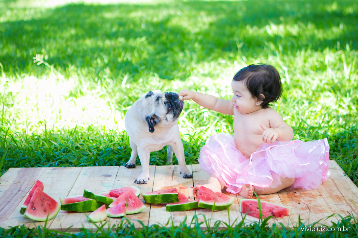 Ensaio fotografico de 1 ano e familia por vivi e luiz fotografias em brasilia