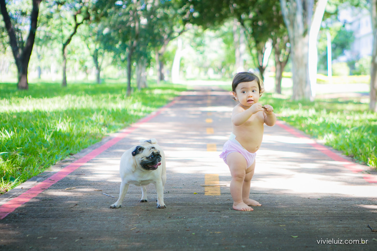 Ensaio fotografico de 1 ano e familia por vivi e luiz fotografias em brasilia