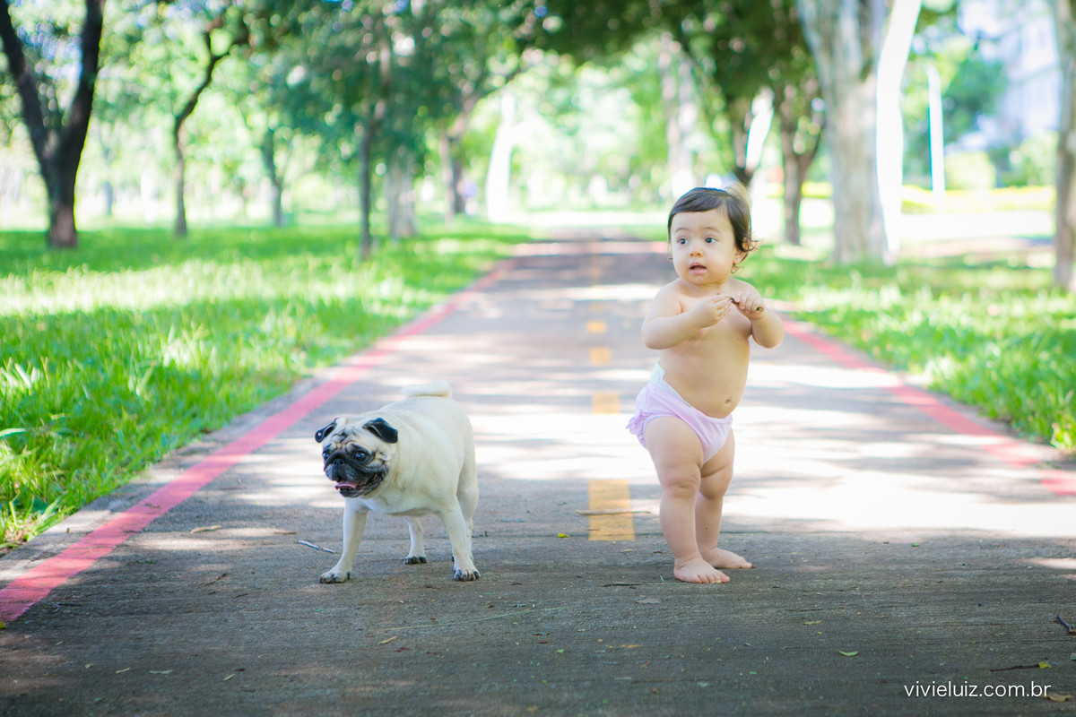 Ensaio fotografico de 1 ano e familia por vivi e luiz fotografias em brasilia