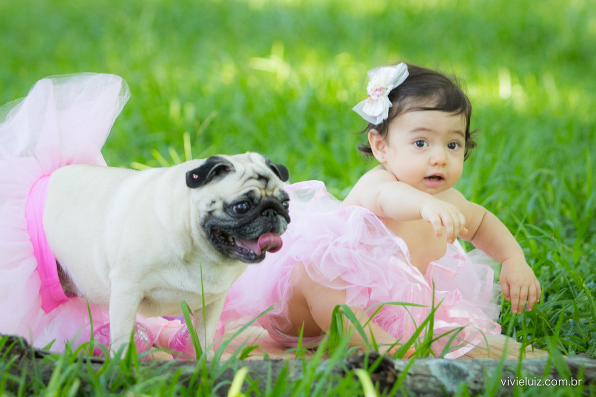 Ensaio fotografico de 1 ano e familia por vivi e luiz fotografias em brasilia