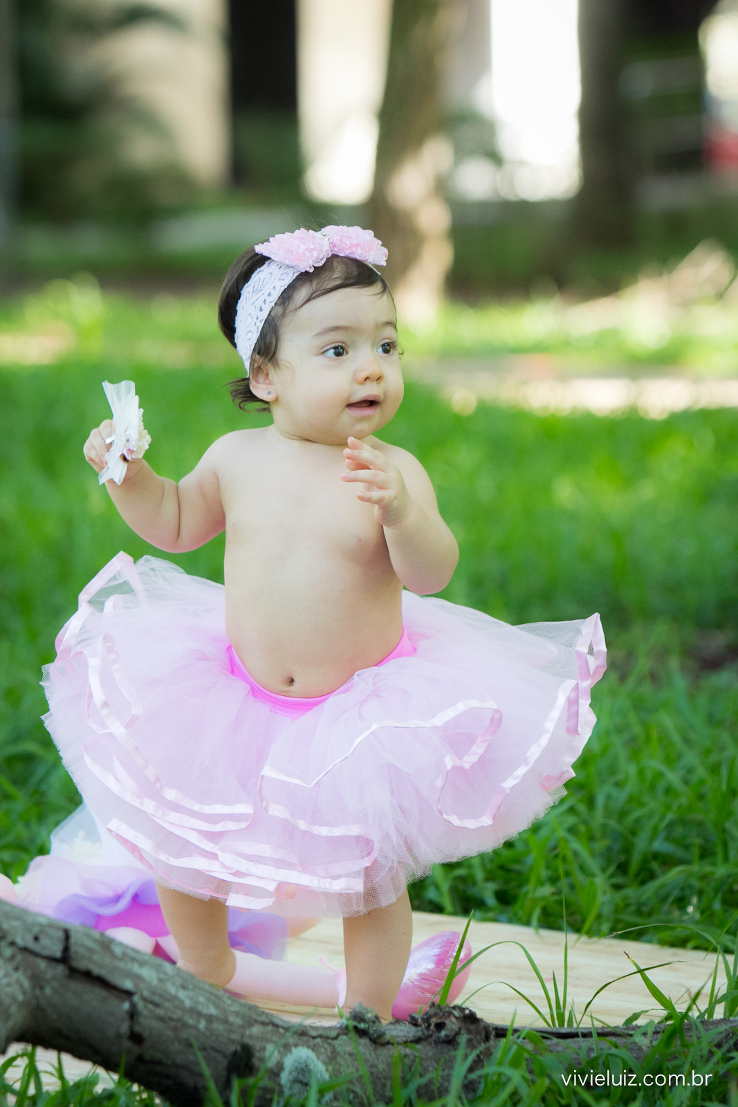 Ensaio fotografico de 1 ano e familia por vivi e luiz fotografias em brasilia