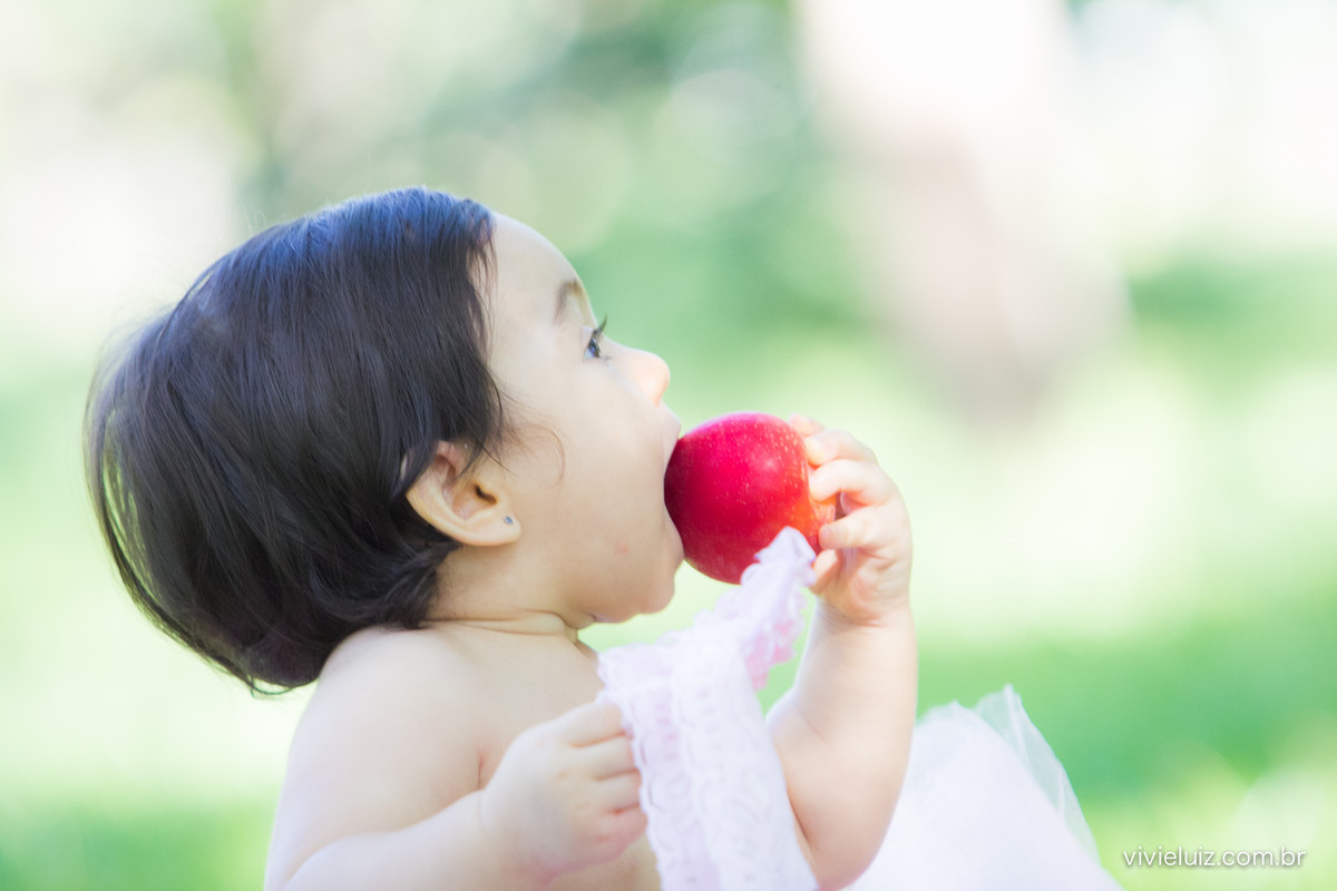 Ensaio fotografico de 1 ano e familia por vivi e luiz fotografias em brasilia