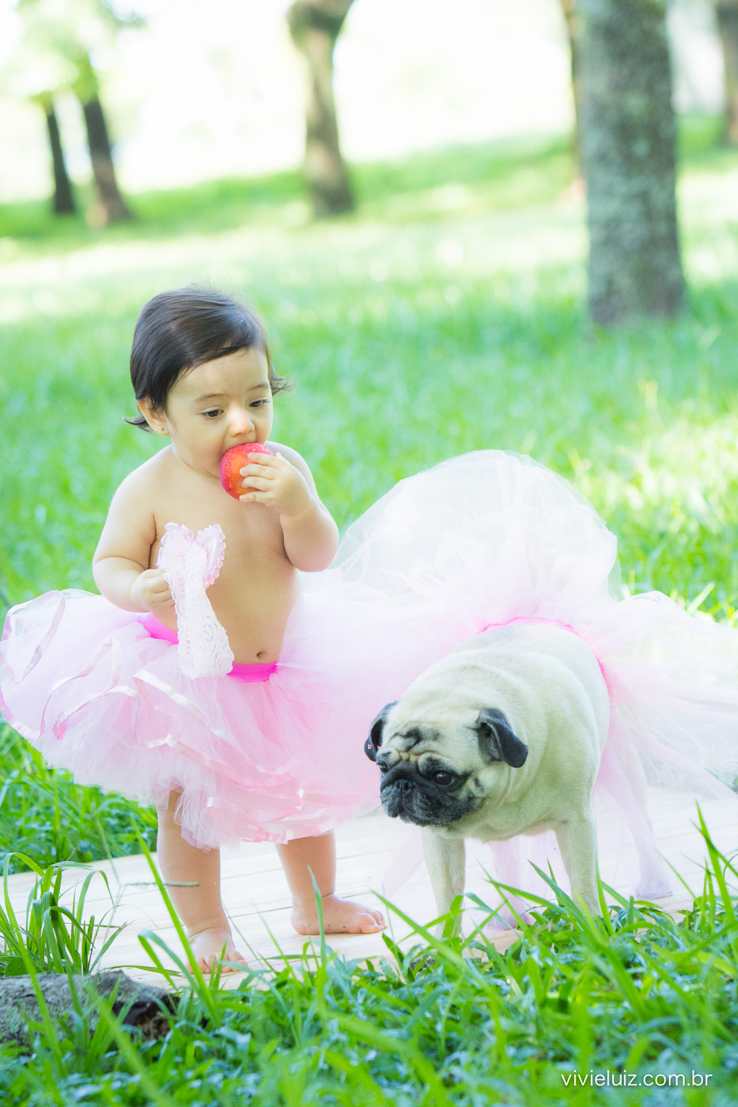 Ensaio fotografico de 1 ano e familia por vivi e luiz fotografias em brasilia