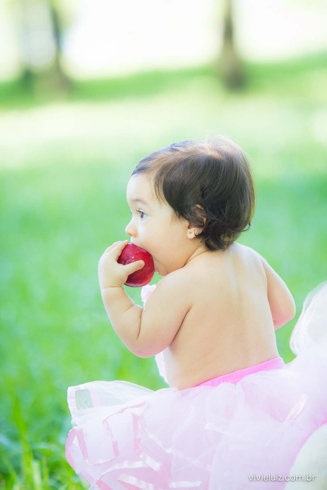 Ensaio fotografico de 1 ano e familia por vivi e luiz fotografias em brasilia