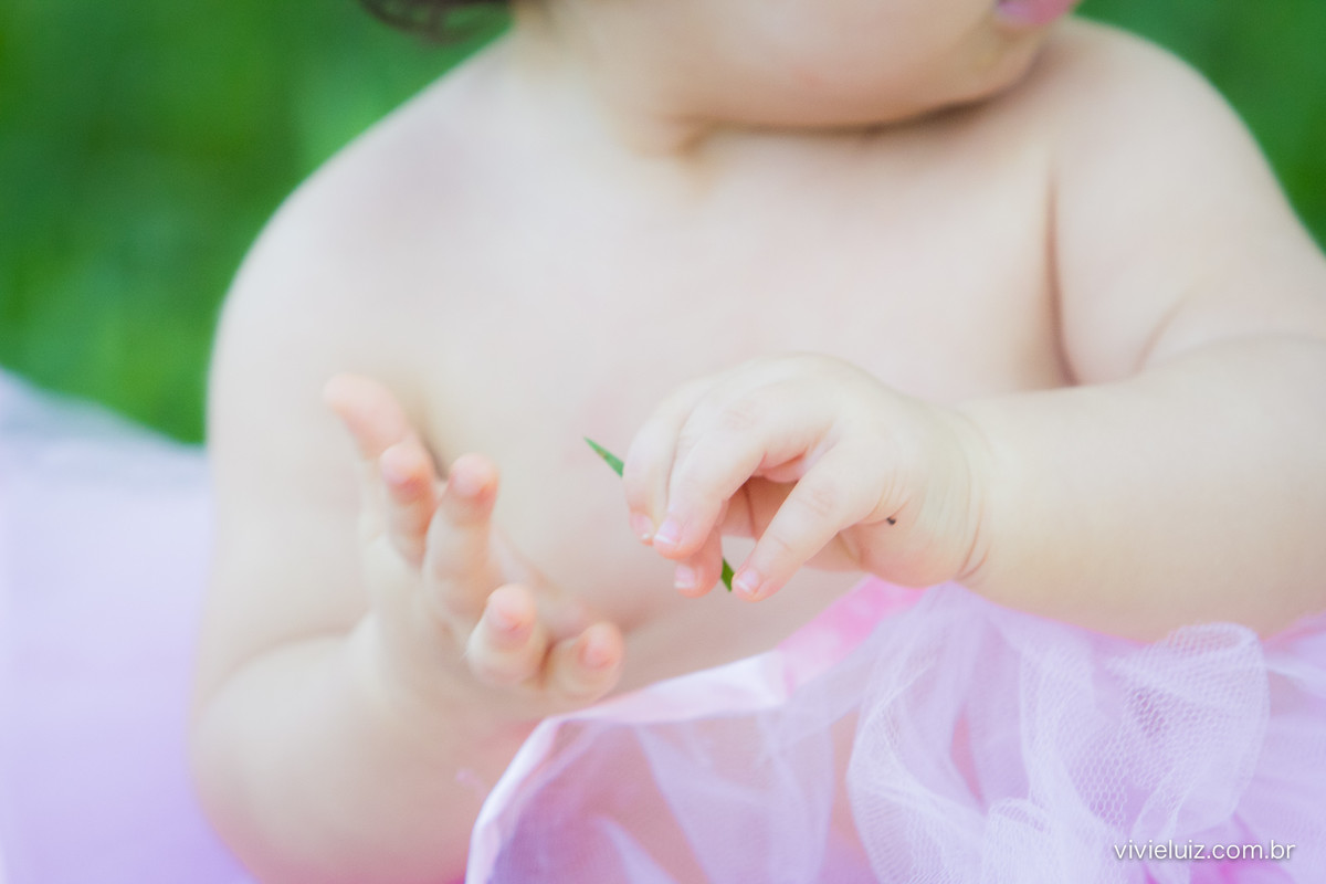 Ensaio fotografico de 1 ano e familia por vivi e luiz fotografias em brasilia