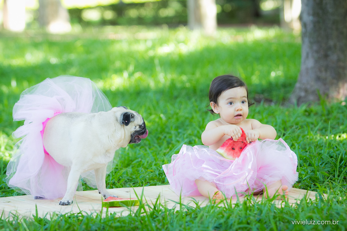 Ensaio fotografico de 1 ano e familia por vivi e luiz fotografias em brasilia