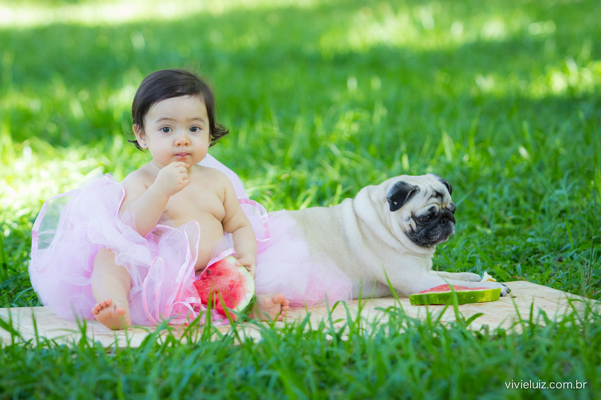 Ensaio fotografico de 1 ano e familia por vivi e luiz fotografias em brasilia