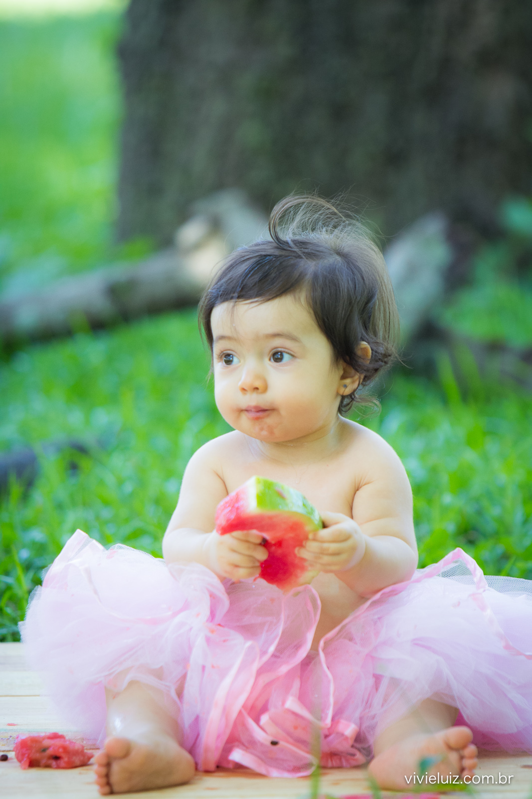 Ensaio fotografico de 1 ano e familia por vivi e luiz fotografias em brasilia