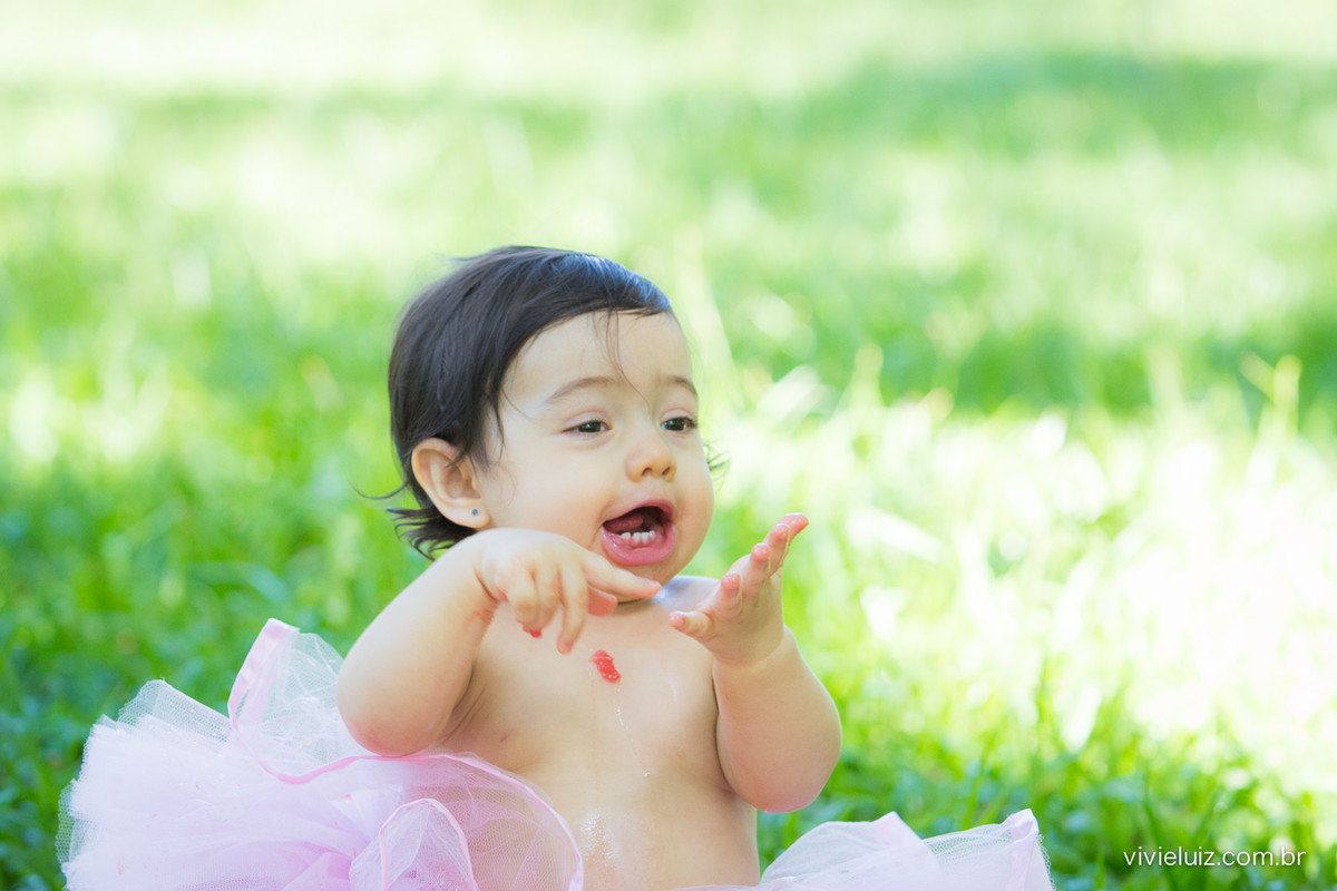 Ensaio fotografico de 1 ano e familia por vivi e luiz fotografias em brasilia