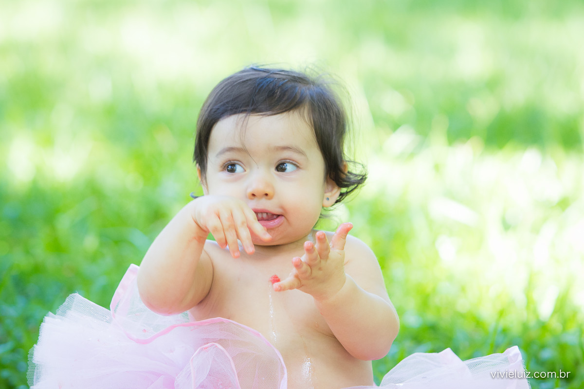 Ensaio fotografico de 1 ano e familia por vivi e luiz fotografias em brasilia