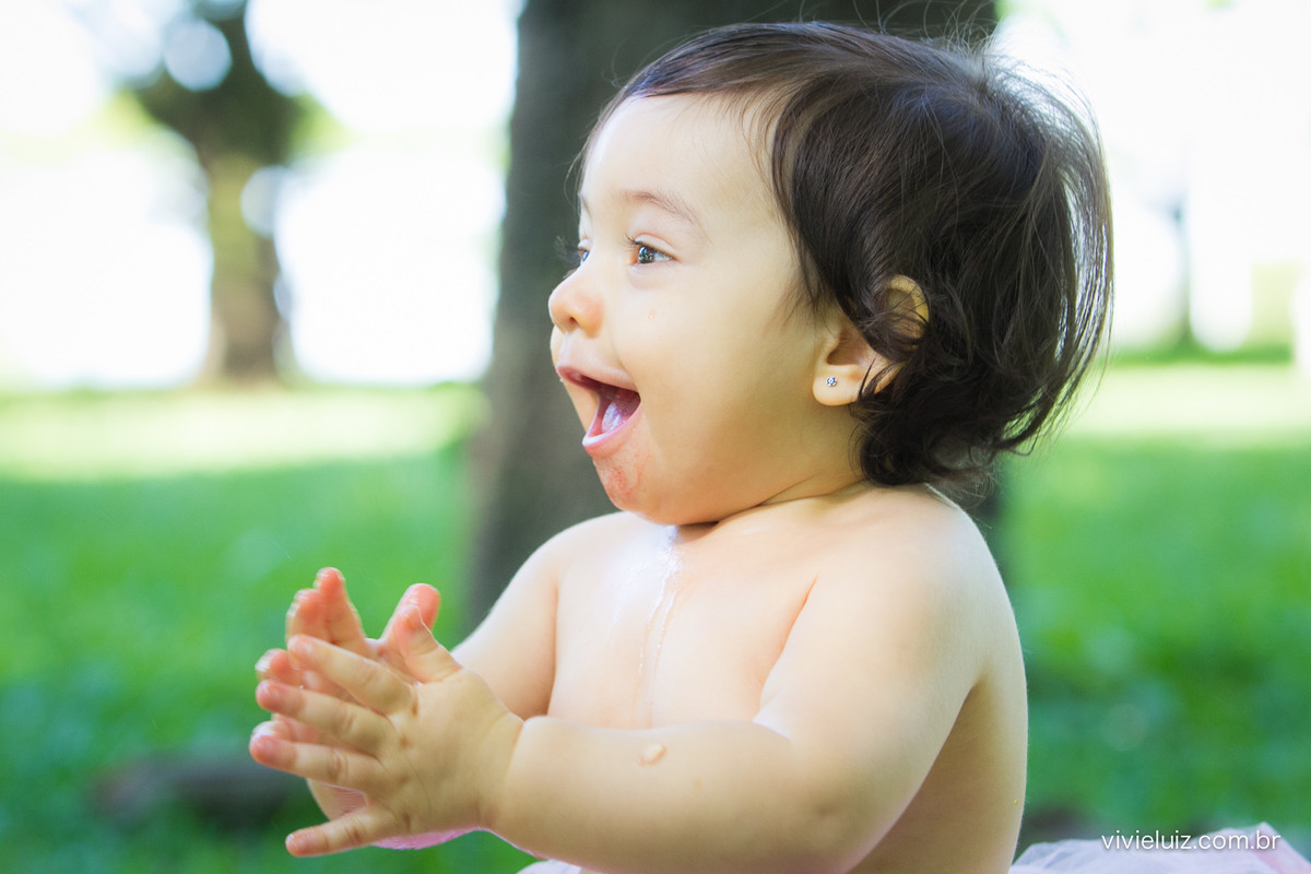 Ensaio fotografico de 1 ano e familia por vivi e luiz fotografias em brasilia