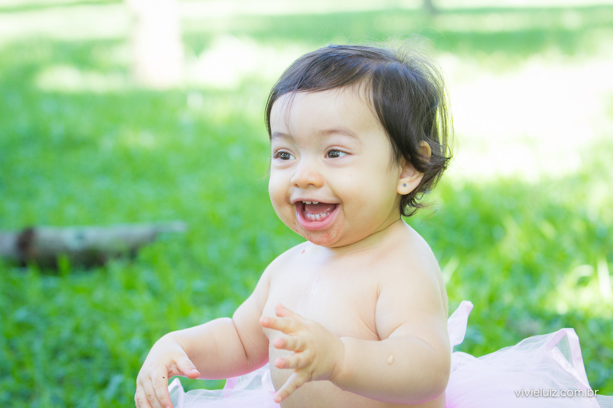 Ensaio fotografico de 1 ano e familia por vivi e luiz fotografias em brasilia