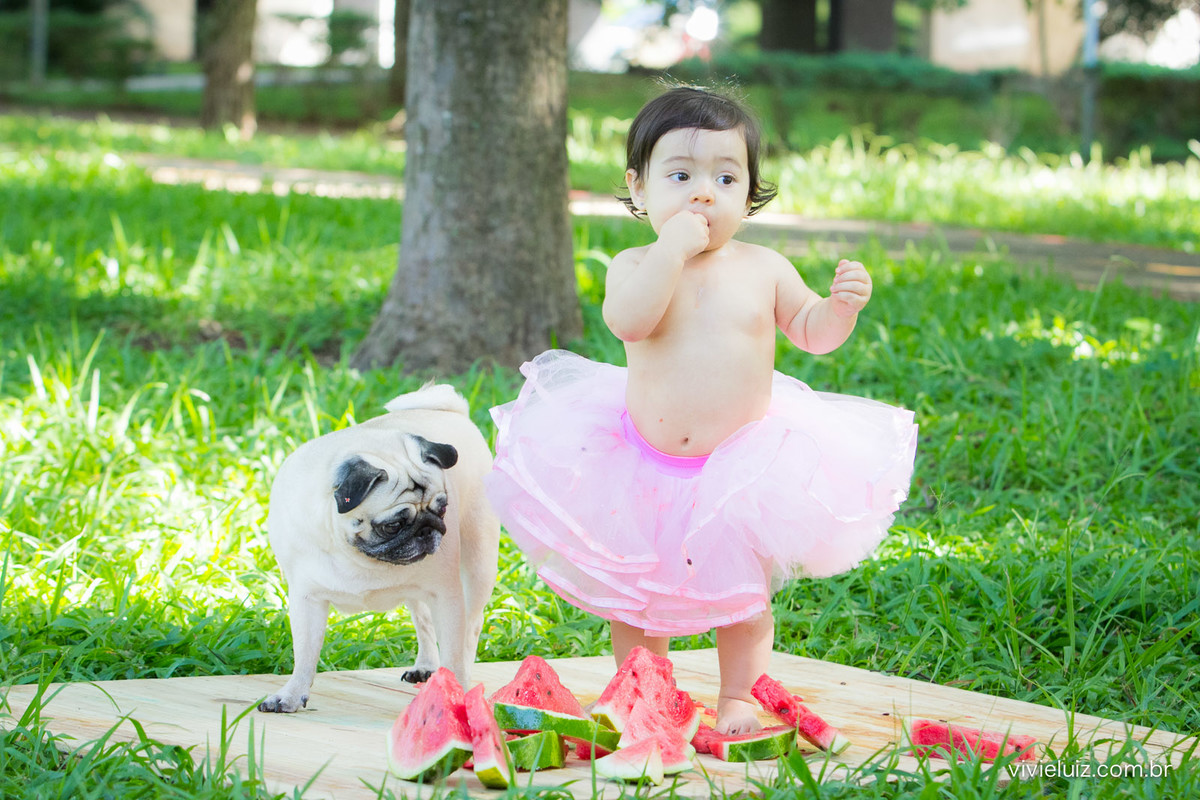 Ensaio fotografico de 1 ano e familia por vivi e luiz fotografias em brasilia