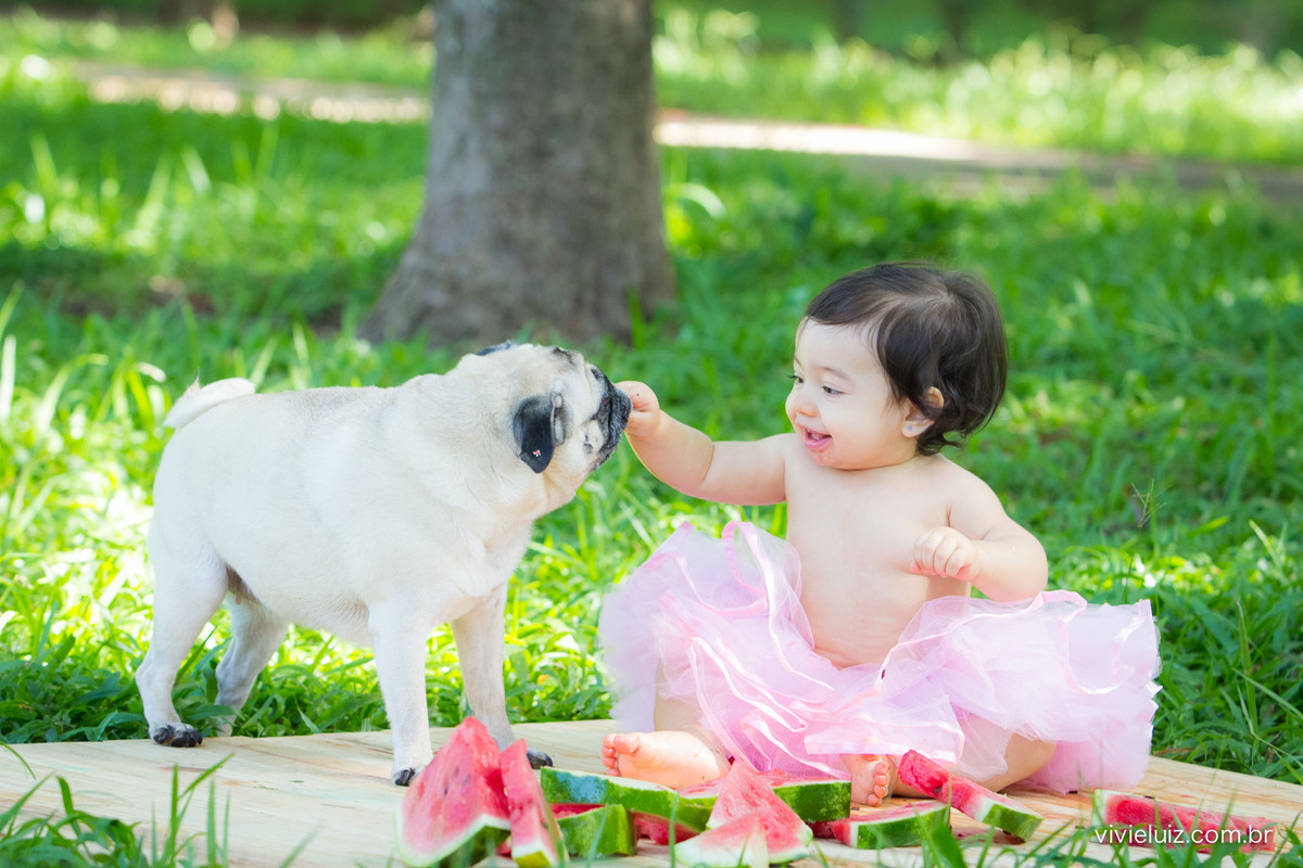 Ensaio fotografico de 1 ano e familia por vivi e luiz fotografias em brasilia