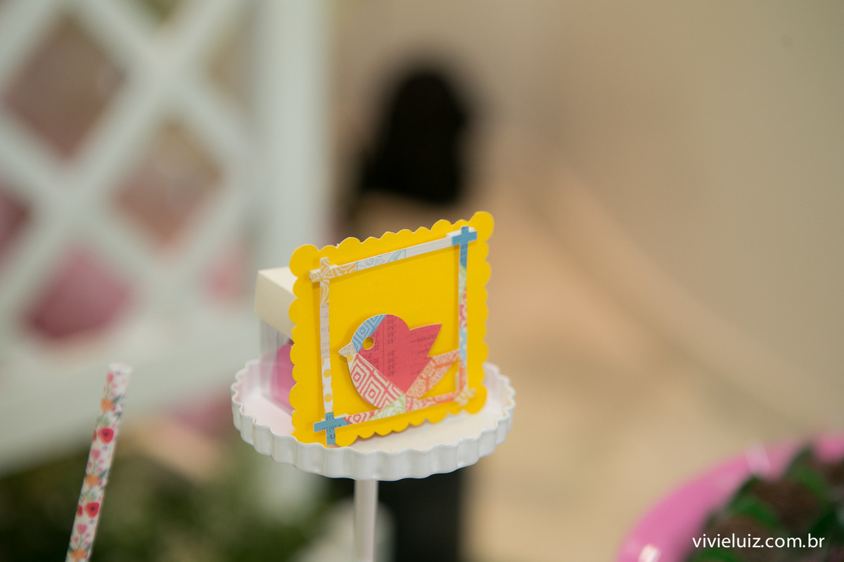 festa infantil em brasilia com fotos de vivi e luiz crianca no aniversario brasilia