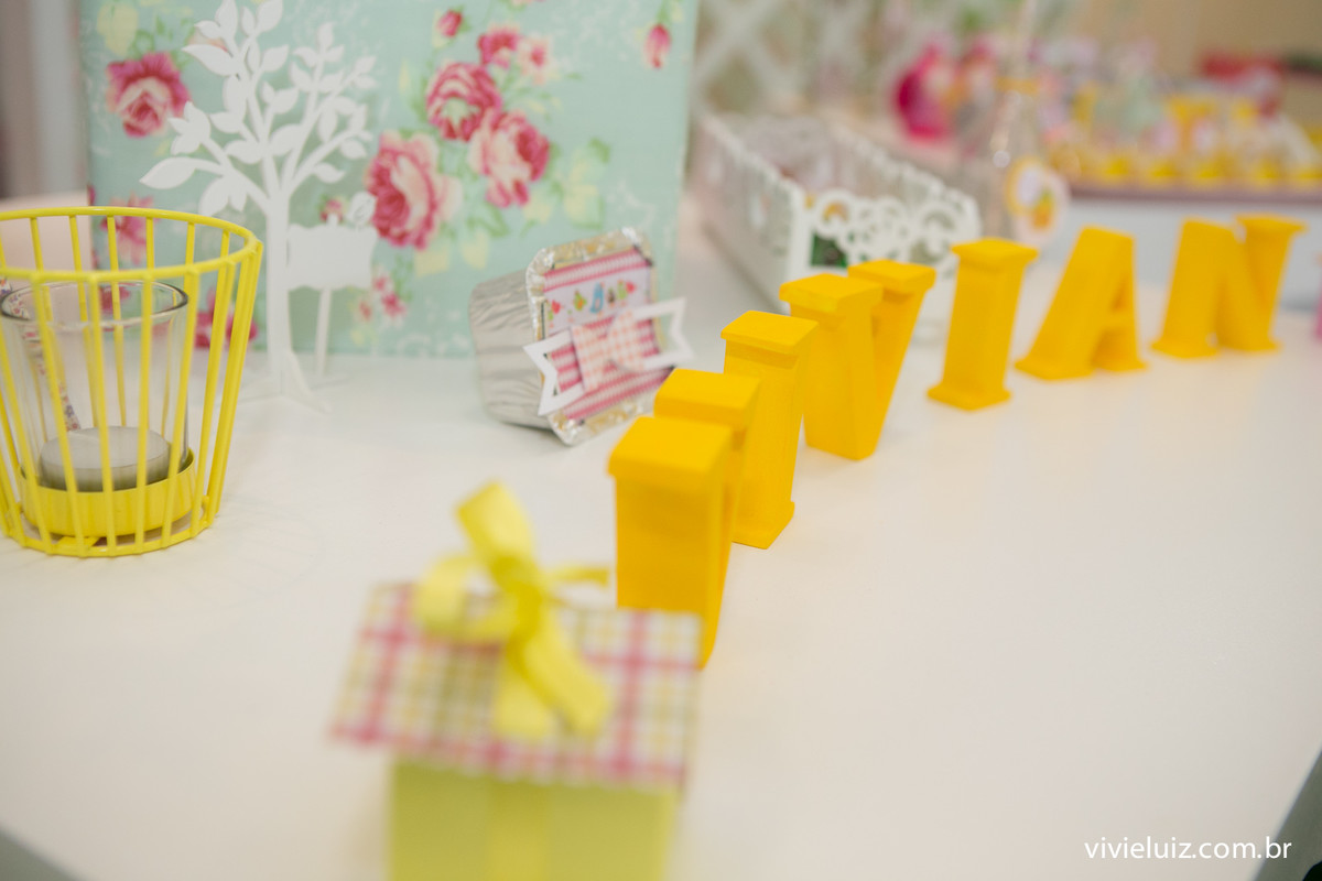 festa infantil em brasilia com fotos de vivi e luiz crianca no aniversario brasilia
