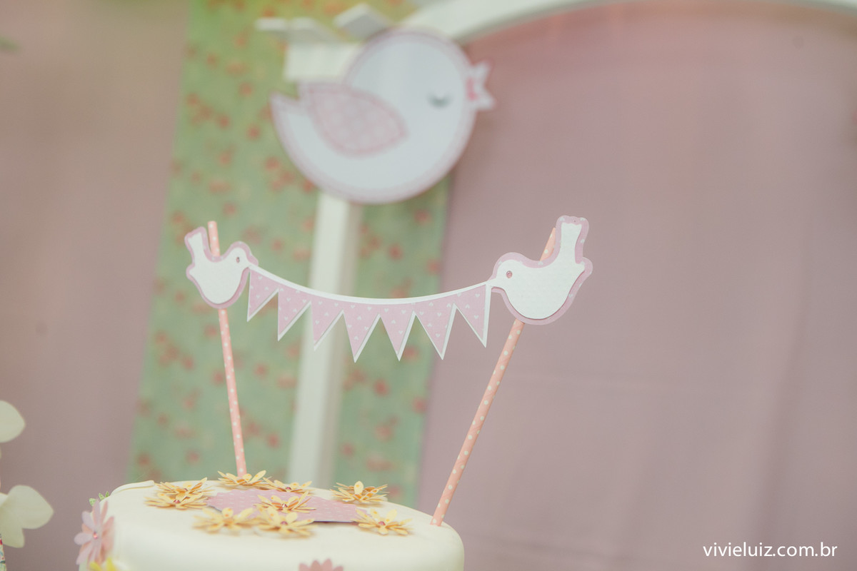 festa infantil em brasilia com fotos de vivi e luiz crianca no aniversario brasilia
