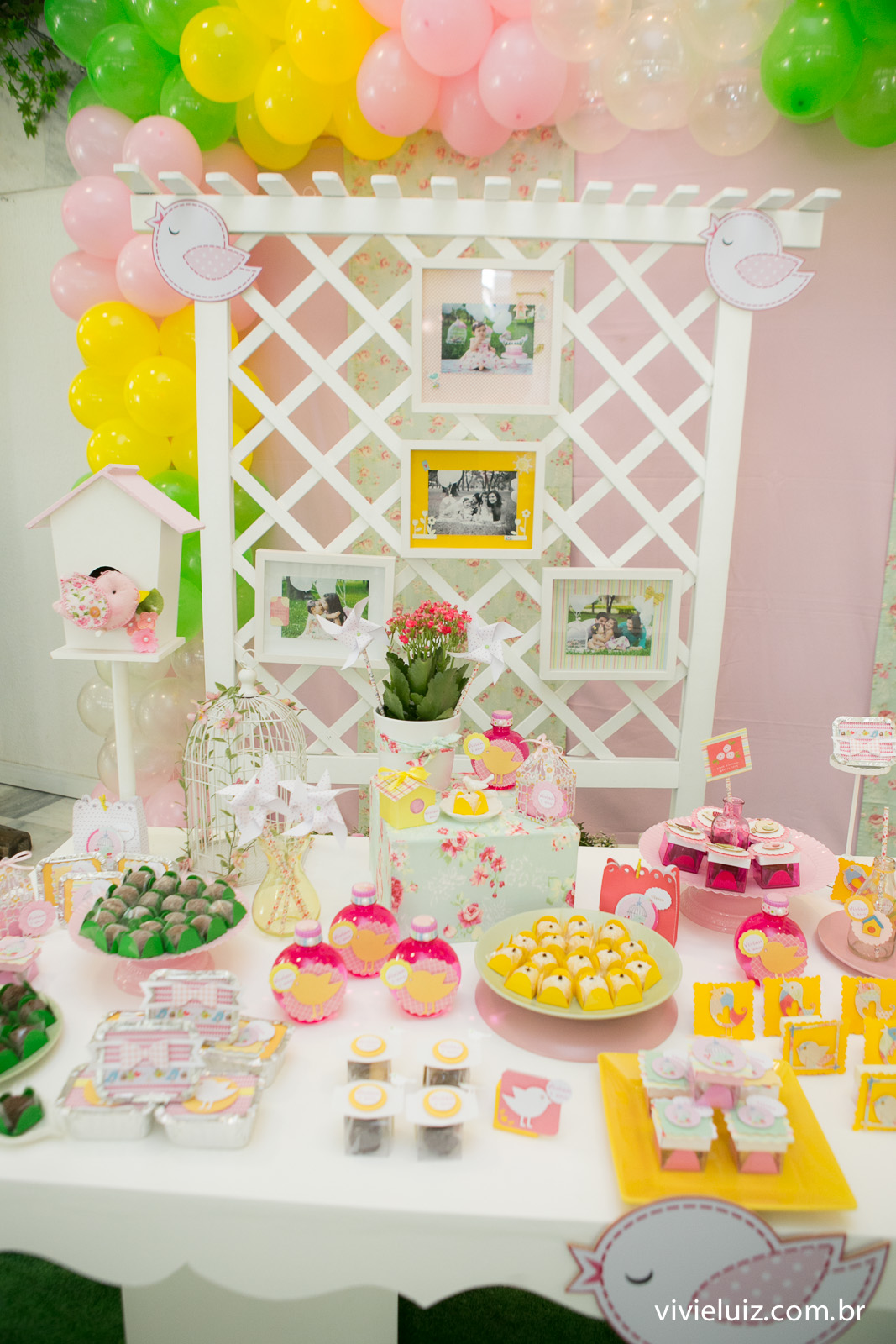 festa infantil em brasilia com fotos de vivi e luiz crianca no aniversario brasilia