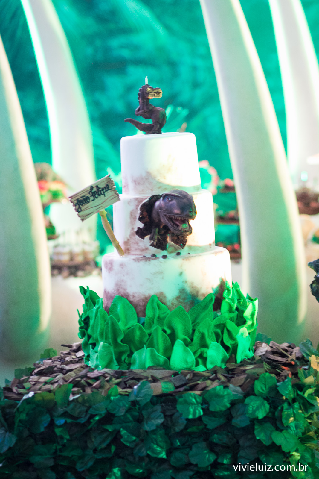 festa infantil em brasilia com fotos de vivi e luiz crianca no aniversario brasilia