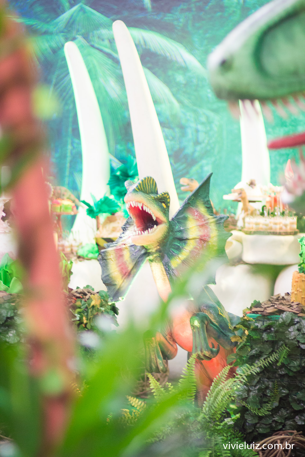 festa infantil em brasilia com fotos de vivi e luiz crianca no aniversario brasilia