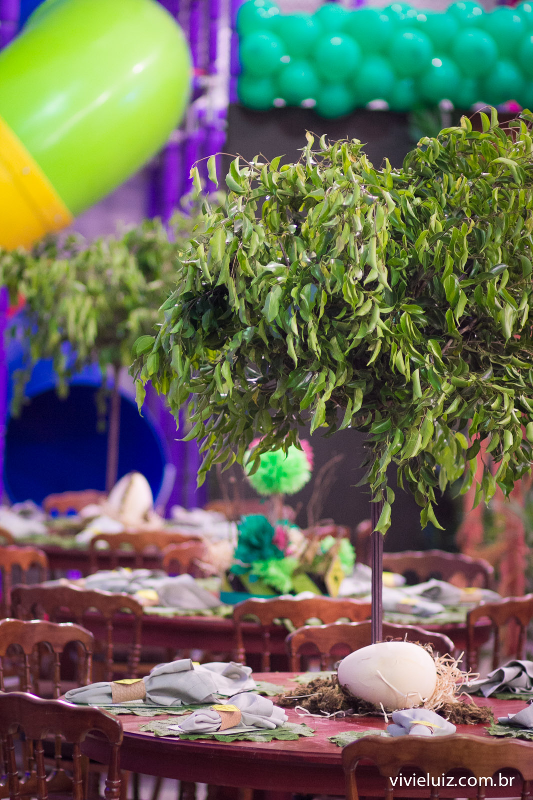 festa infantil em brasilia com fotos de vivi e luiz crianca no aniversario brasilia