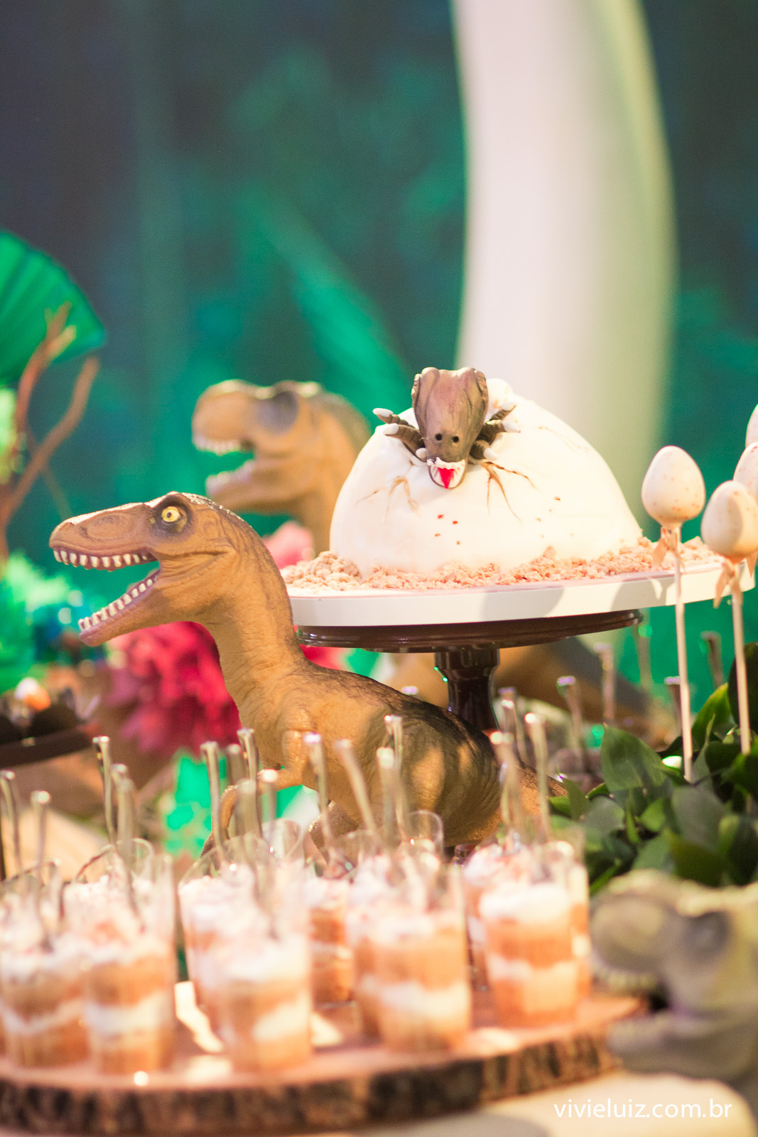 festa infantil em brasilia com fotos de vivi e luiz crianca no aniversario brasilia