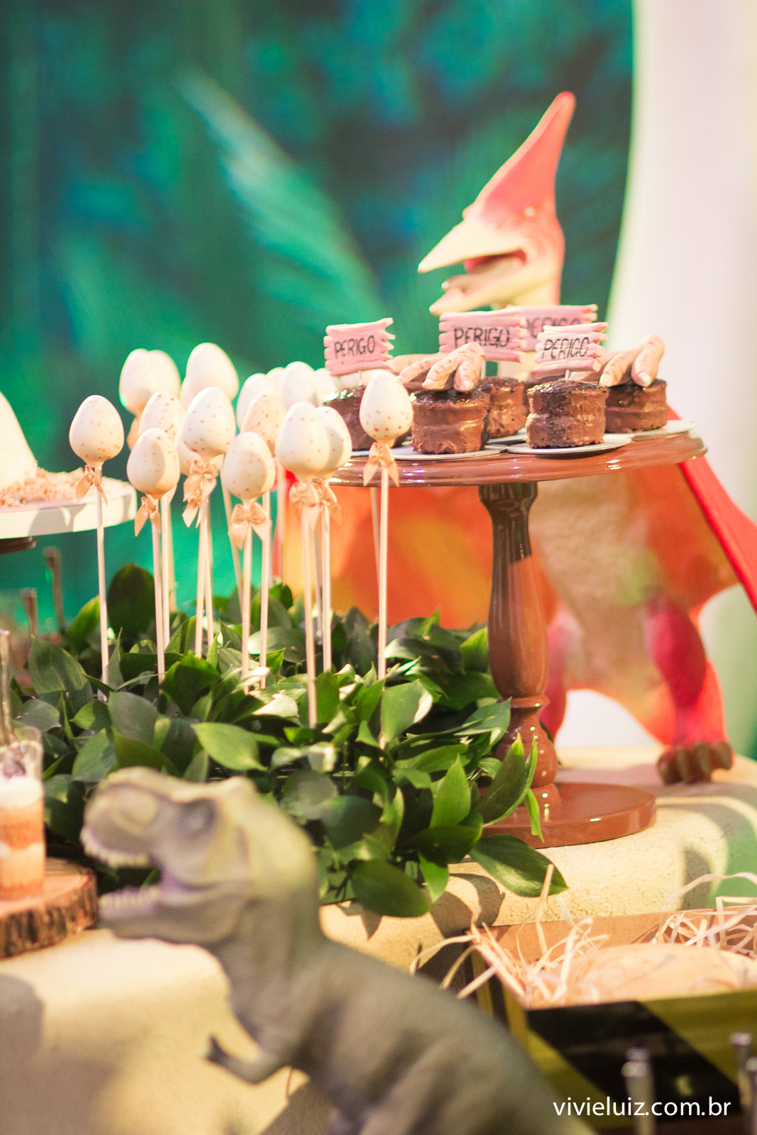 festa infantil em brasilia com fotos de vivi e luiz crianca no aniversario brasilia