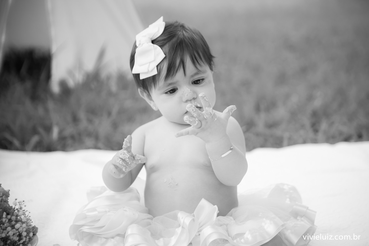 smah the cake com fotos de vivi e luiz fotografias em Brasília