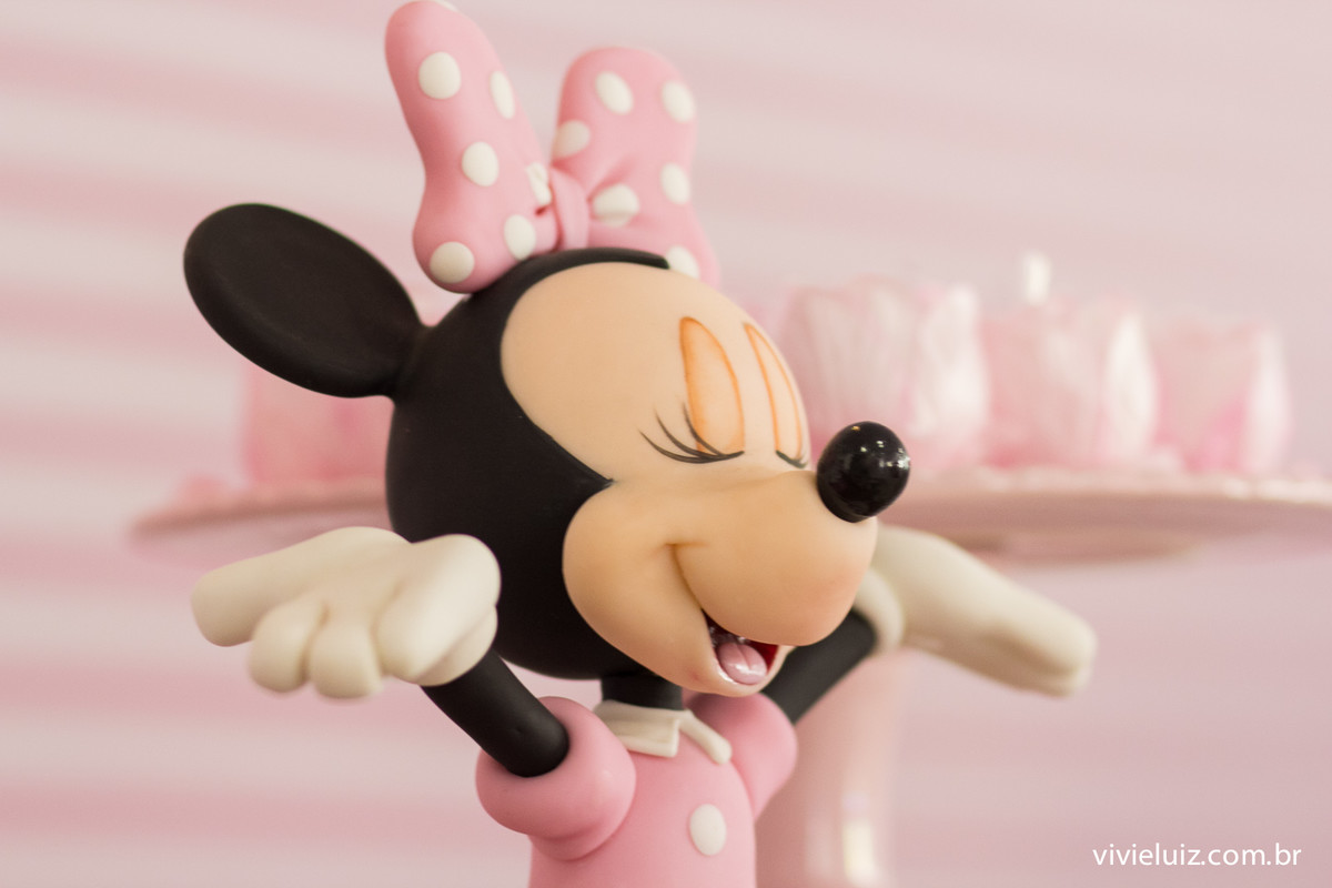 decoracao minie de festa infantil em brasilia com fotos da vivi e luiz fotografias