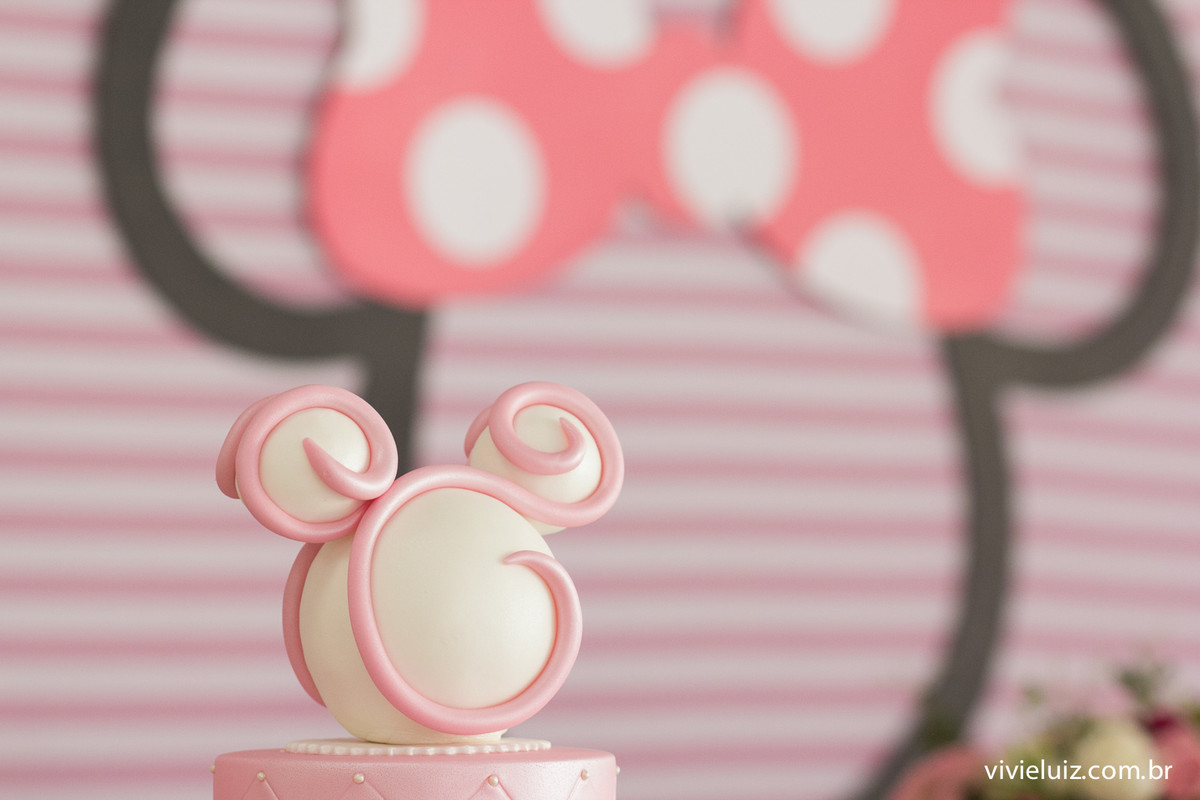 decoracao minie de festa infantil em brasilia com fotos da vivi e luiz fotografias