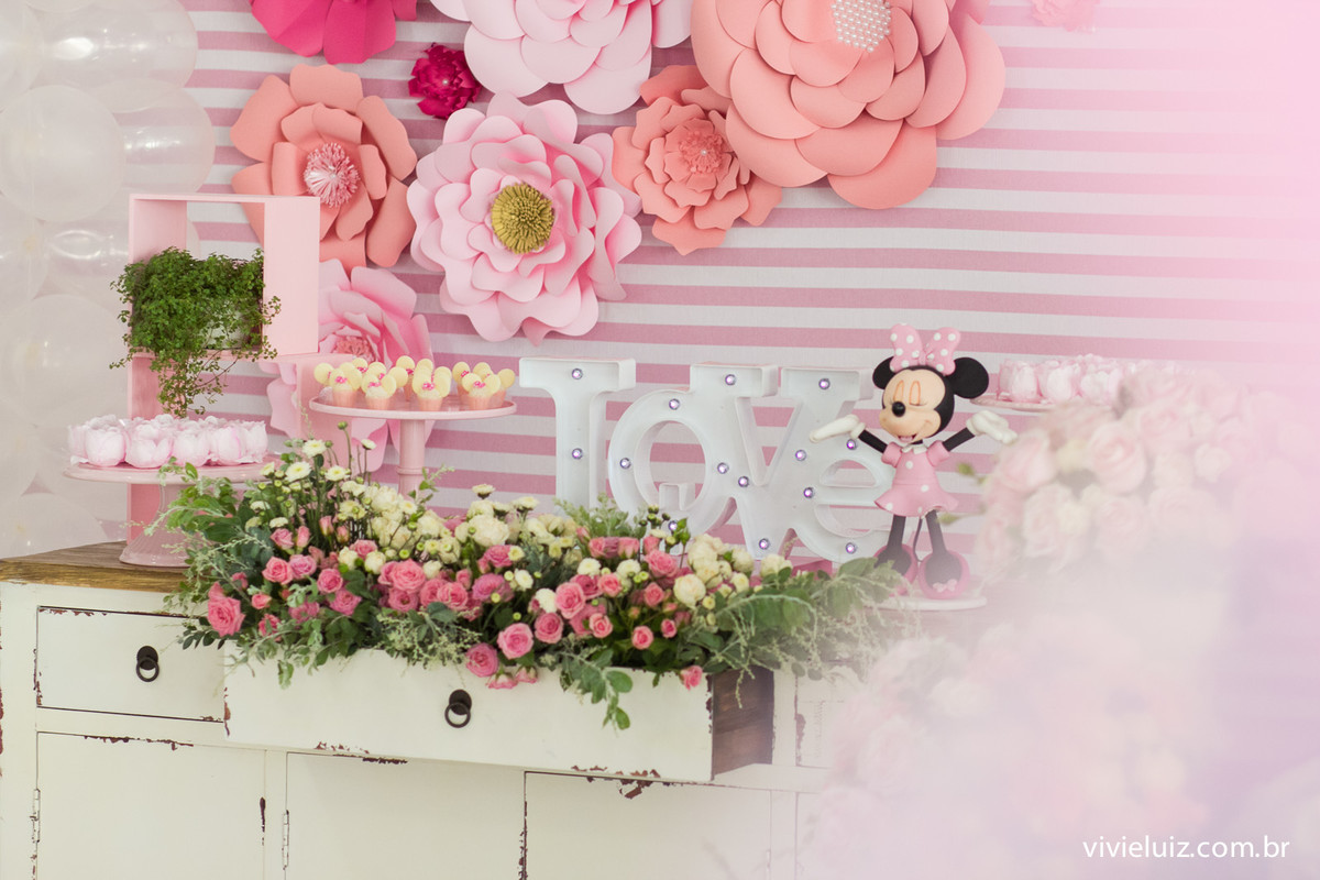 decoracao minie de festa infantil em brasilia com fotos da vivi e luiz fotografias