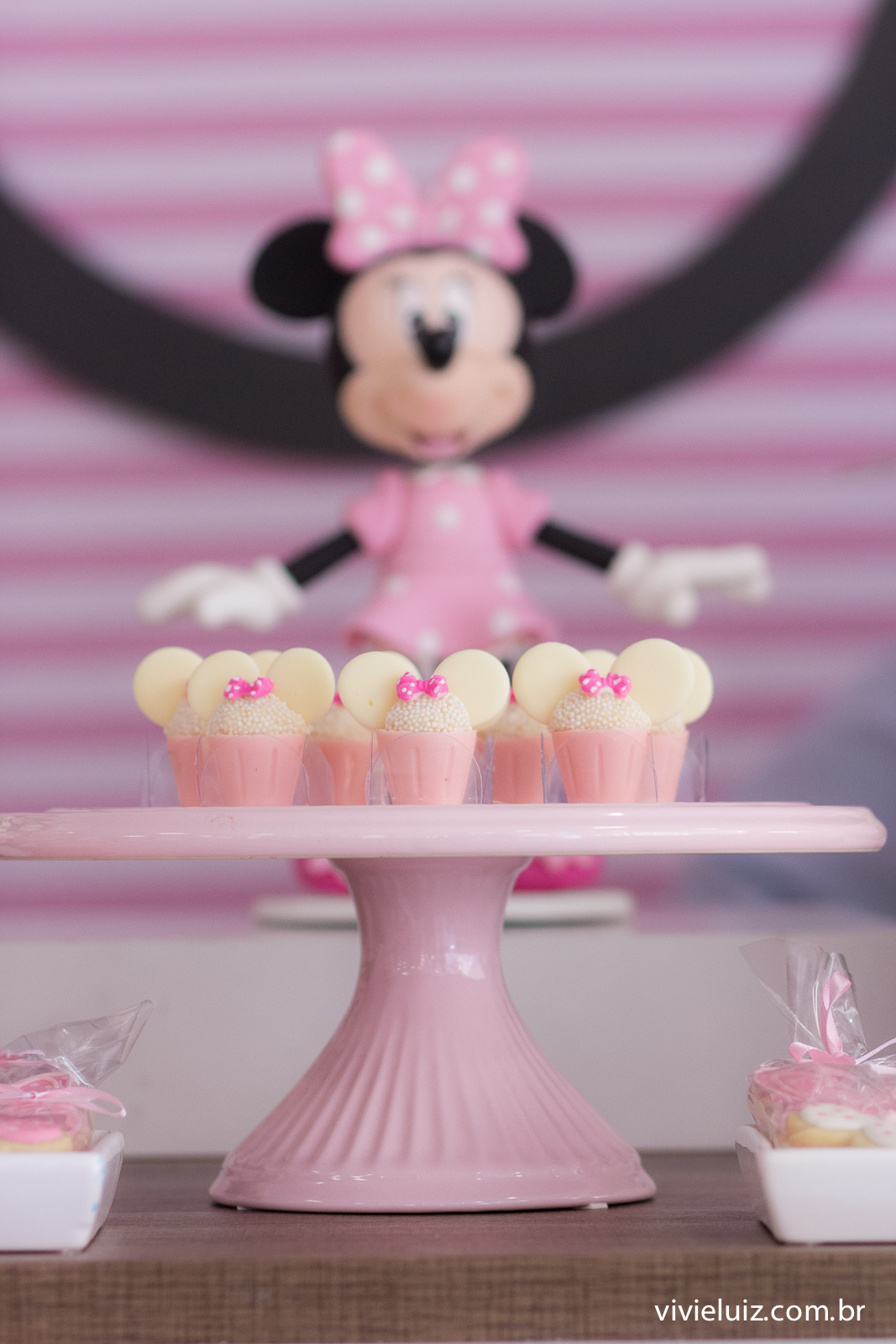 decoracao minie de festa infantil em brasilia com fotos da vivi e luiz fotografias