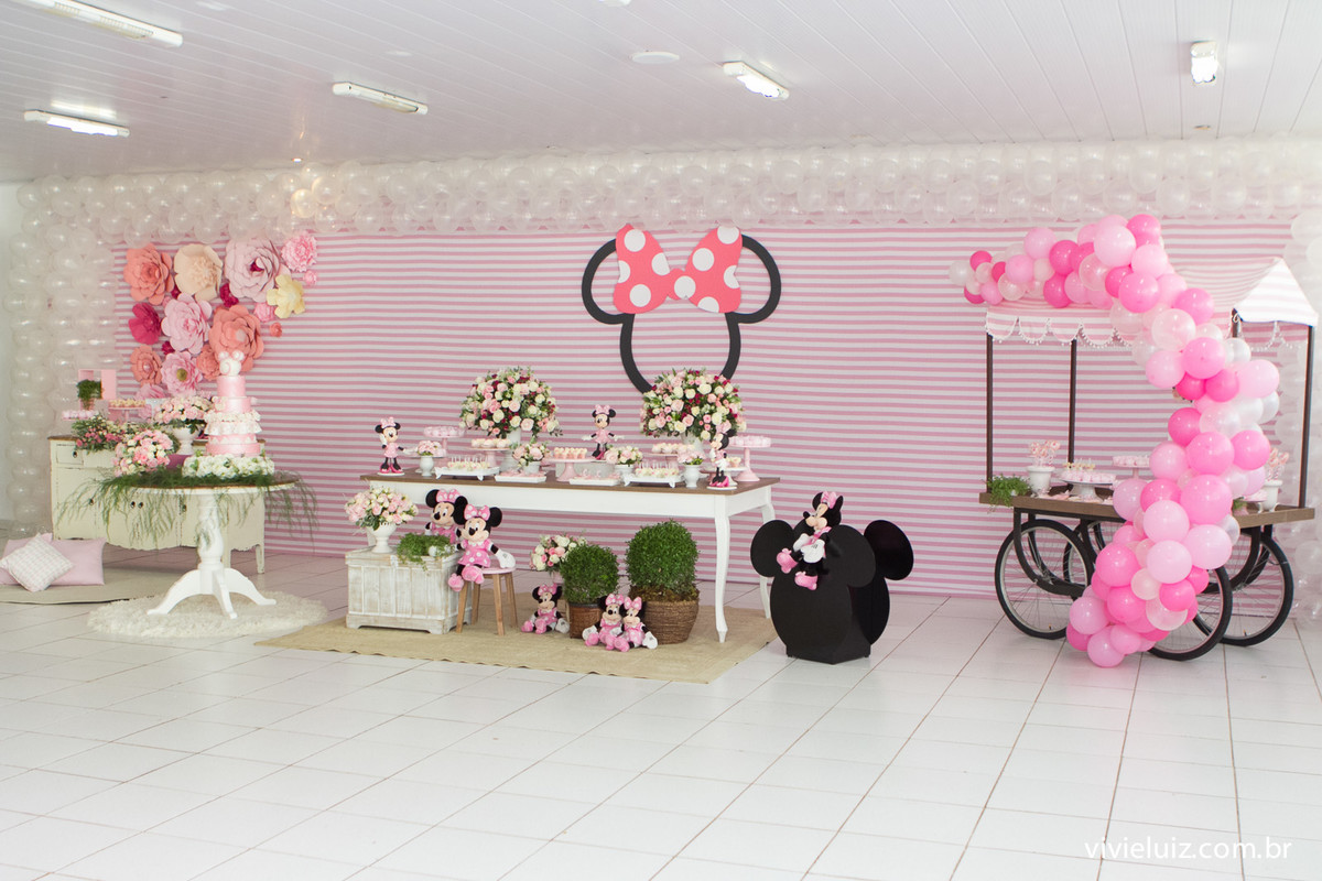 decoracao minie de festa infantil em brasilia com fotos da vivi e luiz fotografias