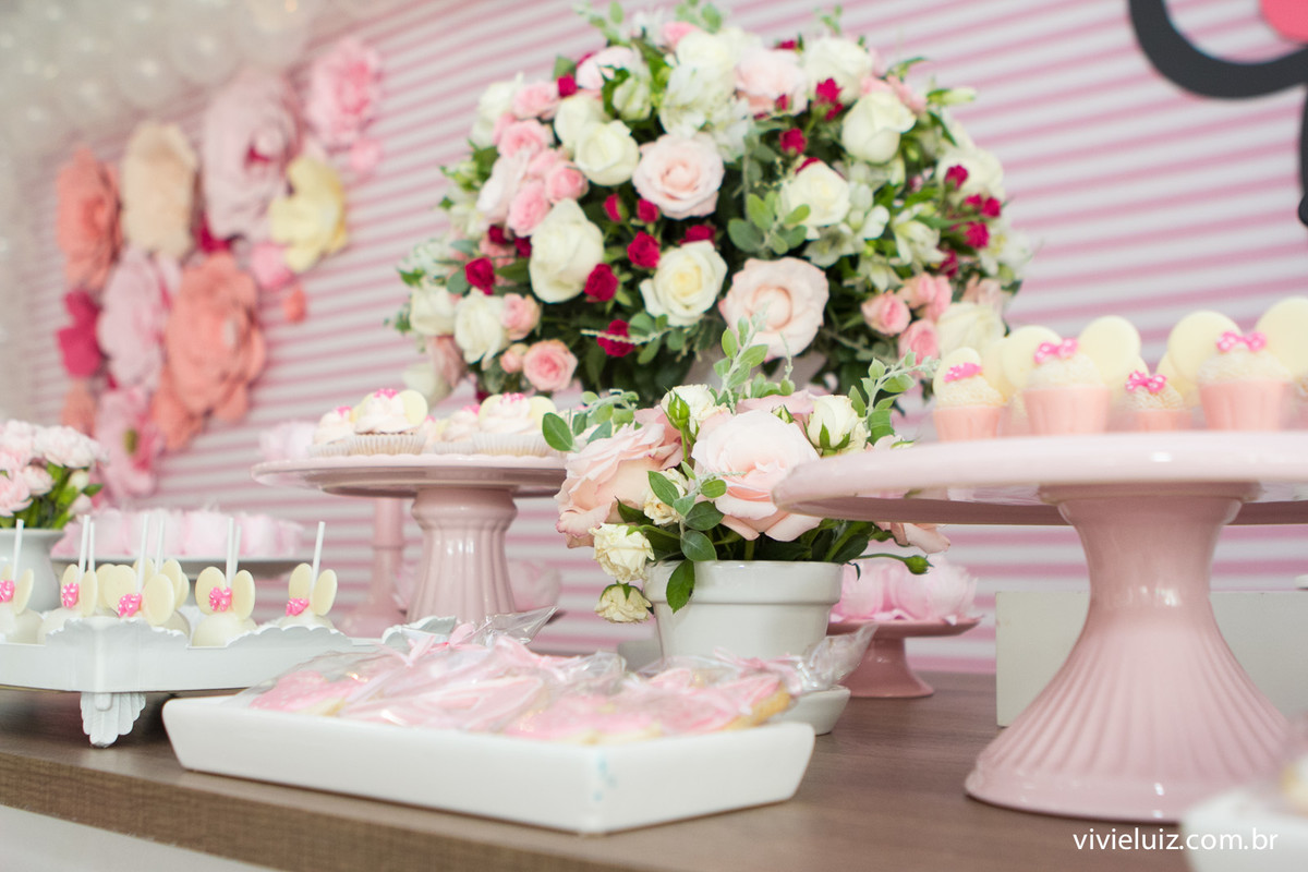 decoracao minie de festa infantil em brasilia com fotos da vivi e luiz fotografias