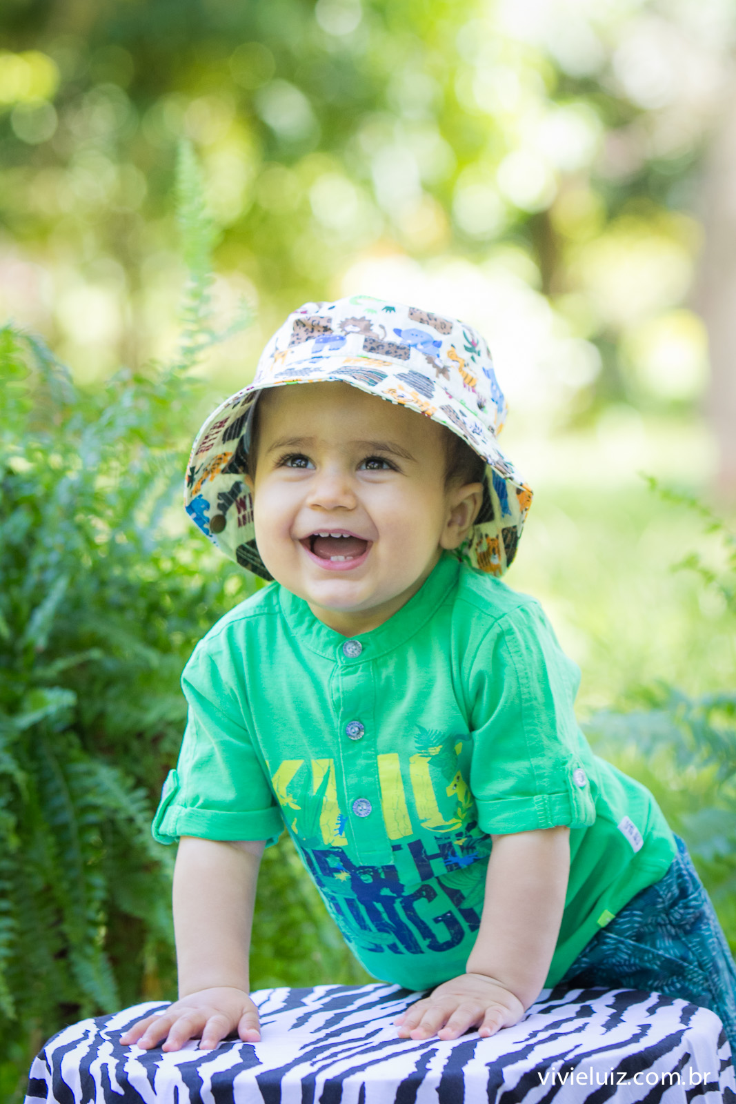 Ensaio fotografico de 1 ano e familia por vivi e luiz fotografias em brasilia tema safari