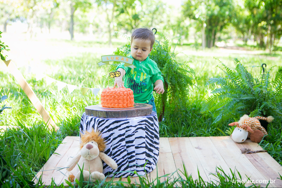 smah the cake com fotos de vivi e luiz fotografias em Brasília