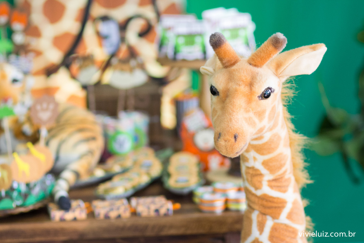 decoracao safari de festa infantil em brasilia com fotos da vivi e luiz fotografias no espaco cata-vento