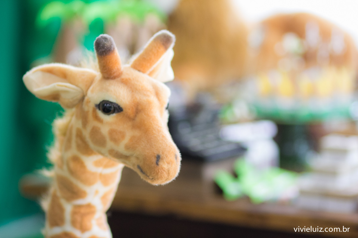 decoracao safari de festa infantil em brasilia com fotos da vivi e luiz fotografias no espaco cata-vento
